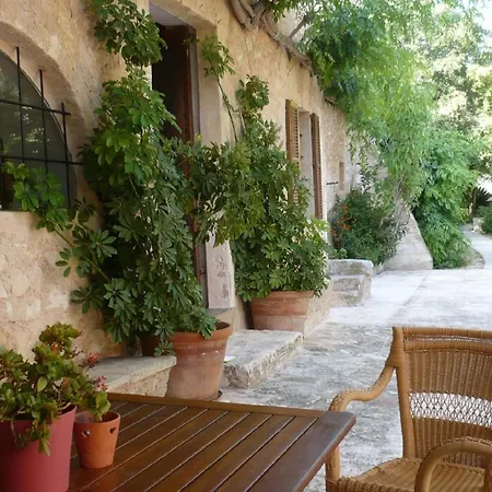 Finca 